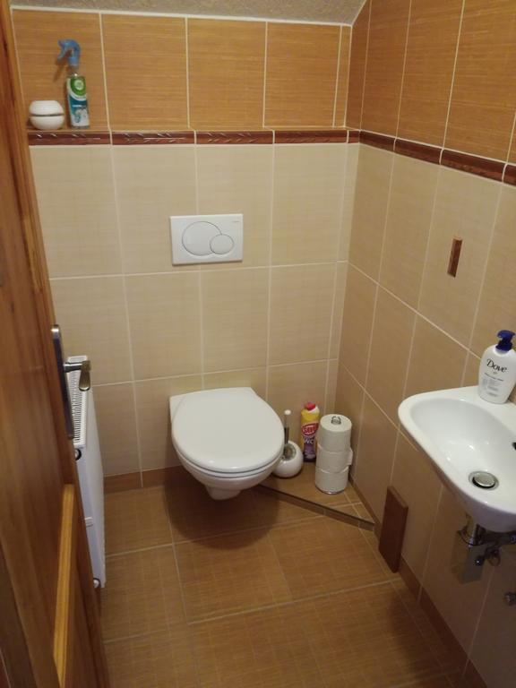 Apartman U Kovaru Kasperske Hory Exterior photo